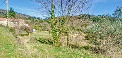 Terrain seul à Saint-Vincent-d'Olargues en Hérault (34) de 3000 m² à vendre au prix de 89000€ - 2