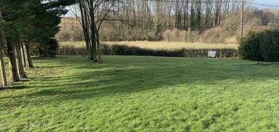 Programme terrain + maison à Tilloy-lez-Marchiennes en Nord (59) de 130 m² à vendre au prix de 346000€ - 4