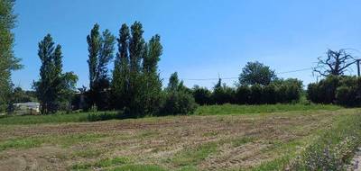 Programme terrain + maison à Ponteilla en Pyrénées-Orientales (66) de 120 m² à vendre au prix de 394000€ - 3