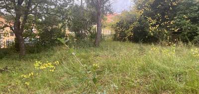 Programme terrain + maison à Pierrefeu-du-Var en Var (83) de 110 m² à vendre au prix de 403000€ - 4