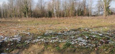 Programme terrain + maison à Saint-Étienne-de-Vicq en Allier (03) de 97 m² à vendre au prix de 201600€ - 3