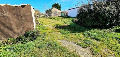 Terrain seul à Saint-Philbert-de-Bouaine en Vendée (85) de 346 m² à vendre au prix de 55000€ - 3