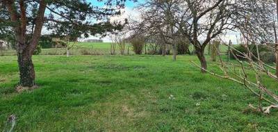 Programme terrain + maison à Saint-Martin-le-Beau en Indre-et-Loire (37) de 100 m² à vendre au prix de 234900€ - 2