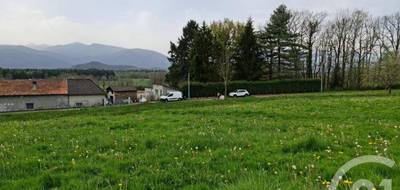 Terrain seul à Escala en Hautes-Pyrénées (65) de 2802 m² à vendre au prix de 25218€ - 3