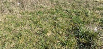 Programme terrain + maison à Illiers-Combray en Eure-et-Loir (28) de 88 m² à vendre au prix de 194488€ - 3