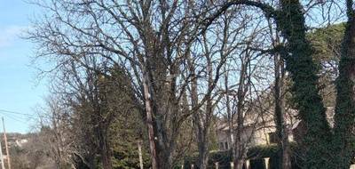 Terrain seul à Forcalquier en Alpes-de-Haute-Provence (04) de 360 m² à vendre au prix de 99000€ - 1