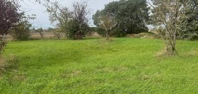 Programme terrain + maison à Beaumont-Louestault en Indre-et-Loire (37) de 90 m² à vendre au prix de 218900€ - 2