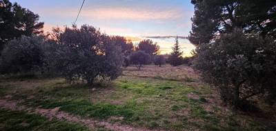 Terrain seul à Saint-Chamas en Bouches-du-Rhône (13) de 509 m² à vendre au prix de 230000€ - 4