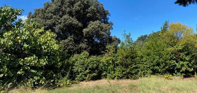 Programme terrain + maison à Alleins en Bouches-du-Rhône (13) de 120 m² à vendre au prix de 385000€ - 4