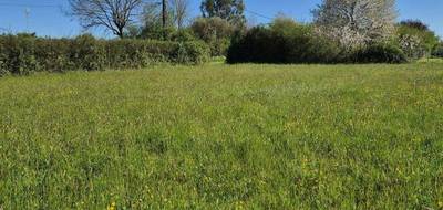 Programme terrain + maison à Saint-Adjutory en Charente (16) de 88 m² à vendre au prix de 215347€ - 4