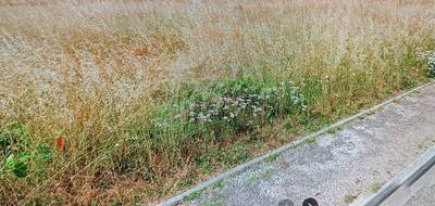 Terrain seul à La Lande-de-Fronsac en Gironde (33) de 453 m² à vendre au prix de 85600€ - 1