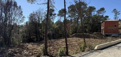 Terrain seul à Bagnols-en-Forêt en Var (83) de 900 m² à vendre au prix de 170000€ - 3