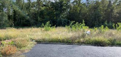 Terrain seul à Issenheim en Haut-Rhin (68) de 556 m² à vendre au prix de 147717€ - 4