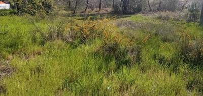 Terrain seul à Ychoux en Landes (40) de 750 m² à vendre au prix de 95000€ - 1
