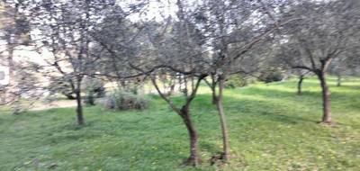 Terrain seul à Draguignan en Var (83) de 1000 m² à vendre au prix de 170000€ - 4