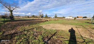 Terrain seul à Lagrave en Tarn (81) de 1550 m² à vendre au prix de 69000€ - 3