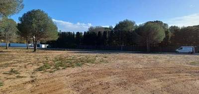 Programme terrain + maison à Perpignan en Pyrénées-Orientales (66) de 170 m² à vendre au prix de 849000€ - 4