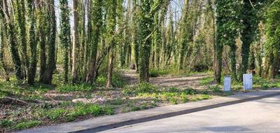 Programme terrain + maison à Bazancourt en Marne (51) de 106 m² à vendre au prix de 290000€ - 4