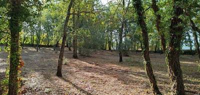 Terrain seul à Régusse en Var (83) de 2495 m² à vendre au prix de 118500€ - 2