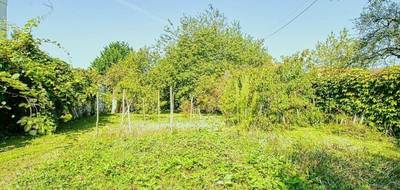Programme terrain + maison à Marles-en-Brie en Seine-et-Marne (77) de 113 m² à vendre au prix de 319000€ - 3