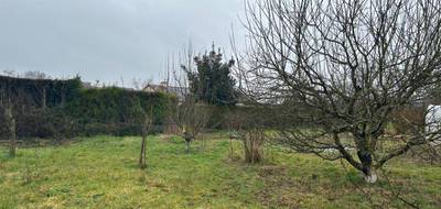 Programme terrain + maison à Montreuil-sur-Loir en Maine-et-Loire (49) de 120 m² à vendre au prix de 297800€ - 3