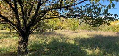 Terrain seul à Pignans en Var (83) de 500 m² à vendre au prix de 99000€ - 3
