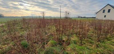 Programme terrain + maison à Touffreville-la-Corbeline en Seine-Maritime (76) de 98 m² à vendre au prix de 286745€ - 4