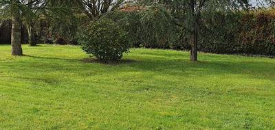Programme terrain + maison à Préfailles en Loire-Atlantique (44) de 180 m² à vendre au prix de 752826€ - 4