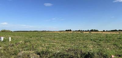 Terrain seul à Baralle en Pas-de-Calais (62) de 432 m² à vendre au prix de 47700€ - 3