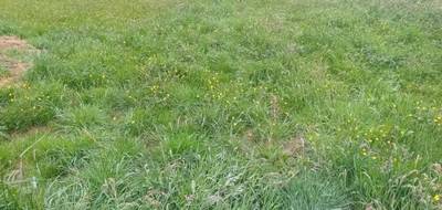 Terrain seul à Gujan-Mestras en Gironde (33) de 502 m² à vendre au prix de 289000€ - 2