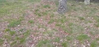 Terrain seul à Villandraut en Gironde (33) de 950 m² à vendre au prix de 76000€ - 3