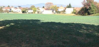 Programme terrain + maison à Morschwiller-le-Bas en Haut-Rhin (68) de 70 m² à vendre au prix de 280405€ - 4