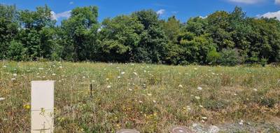 Terrain seul à La Ferté-Bernard en Sarthe (72) de 405 m² à vendre au prix de 46500€ - 4