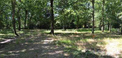 Terrain seul à Audenge en Gironde (33) de 800 m² à vendre au prix de 280000€ - 2