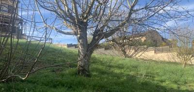 Terrain seul à Frouzins en Haute-Garonne (31) de 500 m² à vendre au prix de 120000€ - 1