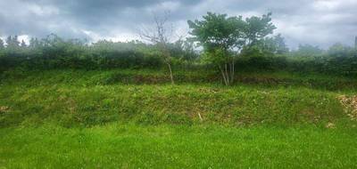 Terrain seul à Brignoles en Var (83) de 490 m² à vendre au prix de 146500€ - 2