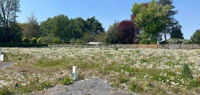 Terrain seul à Habarcq en Pas-de-Calais (62) de 441 m² à vendre au prix de 59500€ - 1