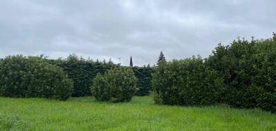 Terrain seul à Loriol-sur-Drôme en Drôme (26) de 550 m² à vendre au prix de 89000€ - 3