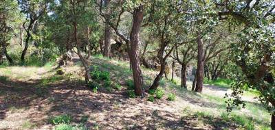 Terrain seul à Rians en Var (83) de 1840 m² à vendre au prix de 168000€ - 4