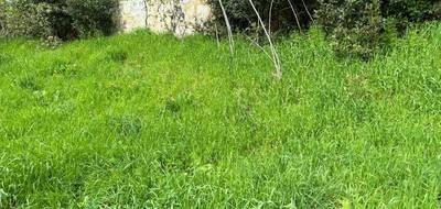Programme terrain + maison à Andernos-les-Bains en Gironde (33) de 120 m² à vendre au prix de 480000€ - 4