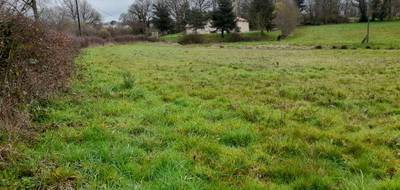 Programme terrain + maison à Saint-Vaury en Creuse (23) de 111 m² à vendre au prix de 234400€ - 4