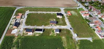 Programme terrain + maison à Féchain en Nord (59) de 105 m² à vendre au prix de 244000€ - 3