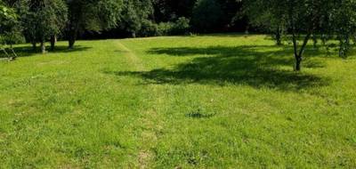 Programme terrain + maison à Villeparisis en Seine-et-Marne (77) de 85 m² à vendre au prix de 299000€ - 3