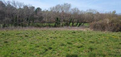Terrain seul à Fox-Amphoux en Var (83) de 4800 m² à vendre au prix de 140000€ - 1