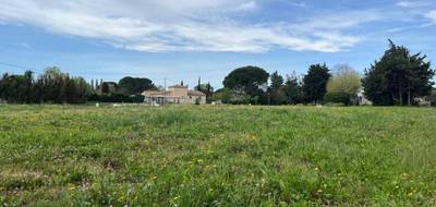 Terrain seul à Lapalud en Vaucluse (84) de 768 m² à vendre au prix de 111000€ - 1