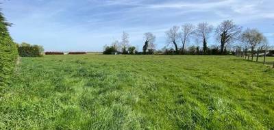 Terrain seul à Nonant en Calvados (14) de 475 m² à vendre au prix de 55900€ - 3