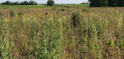Terrain seul à Ballon en Charente-Maritime (17) de 302 m² à vendre au prix de 51900€ - 4