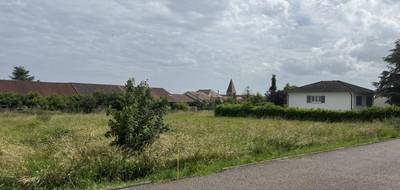 Programme terrain + maison à Retonfey en Moselle (57) de 120 m² à vendre au prix de 469000€ - 3