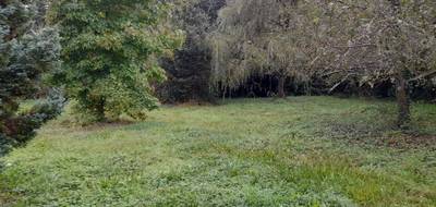 Terrain seul à Saint-Léonard-de-Noblat en Haute-Vienne (87) de 412 m² à vendre au prix de 12500€ - 1