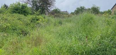 Programme terrain + maison à La Chapelle-Saint-Martin-en-Plaine en Loir-et-Cher (41) de 79 m² à vendre au prix de 152007€ - 4